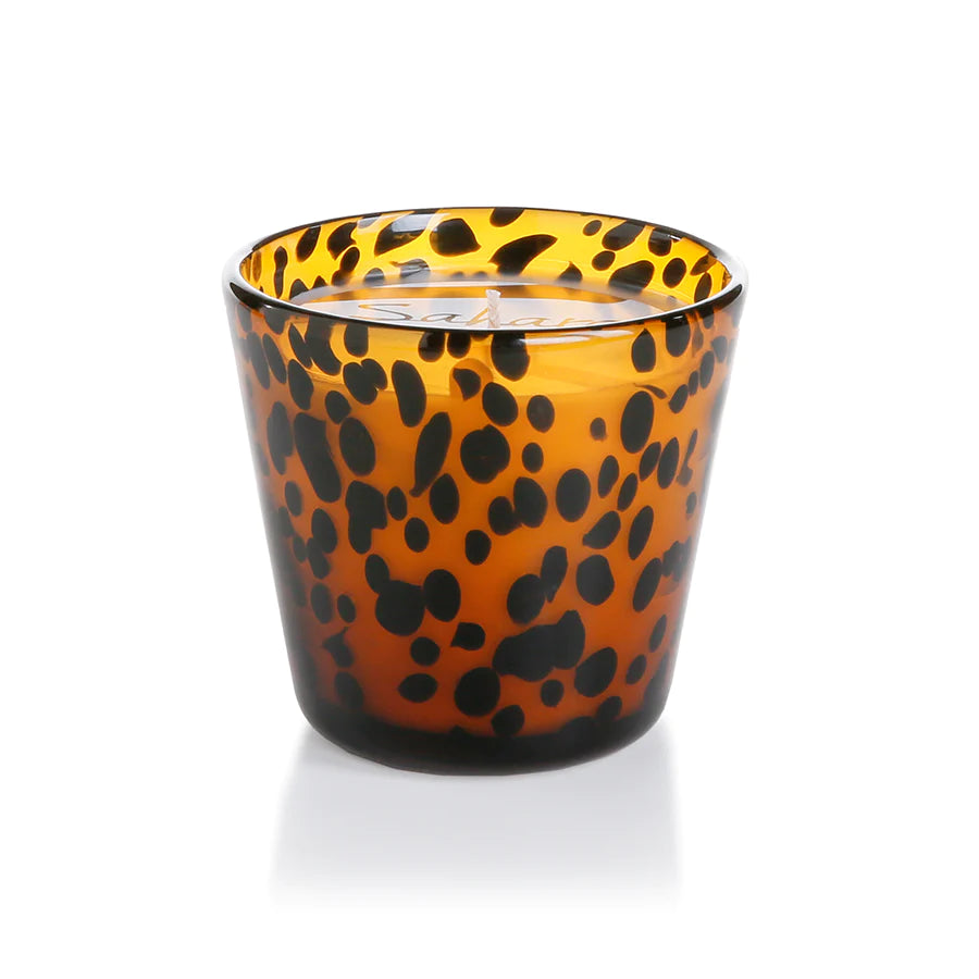 Sahara Tortoise Candle